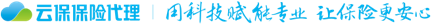 baoinsurance-logo