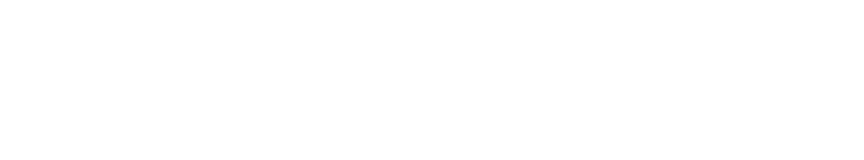 baoinsurance-logo